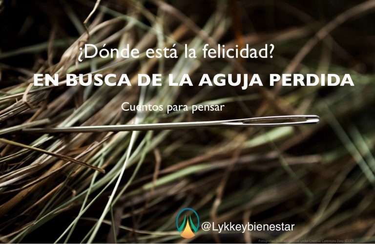 ¿Dónde está la felicidad? EN BUSCA DE LA AGUJA PERDIDA